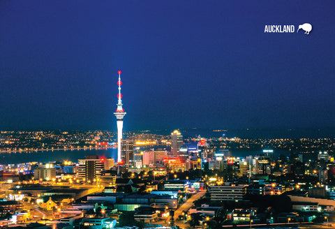 SAU114 - Auckland - View From Mt Eden - Small Postcard - Postcards NZ Ltd