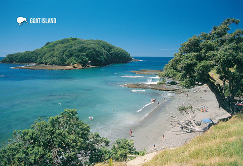 SAU118 - Piha Beach From Lion Rock - Small Postcard