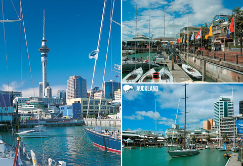 SAU131 - Americas Cup Village, Viaduct Basin, Auckland - Sm - Postcards NZ Ltd