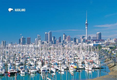 SAU94 - Westhaven Marina, Auckland - Small Postcard - Postcards NZ Ltd