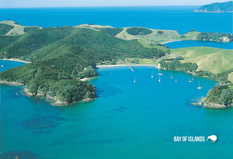 LBI029 - Paihia And Russell - Large Postcard