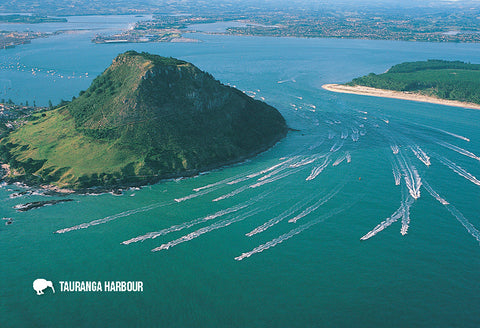 SBP194 - Mt Maunganui - Main Beach With Surfers - Small Pos