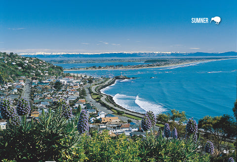 LCA045 - Christchurch 8 View Multi - Large Postcard