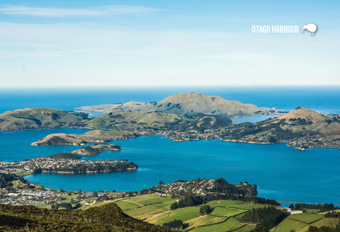 SDN425 - Otago Harbour - Small Postcard - Postcards NZ Ltd