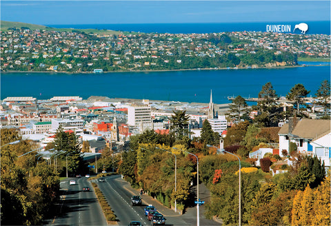 MDN202- Dunedin Railway Station Platform - Panoramic Magnet