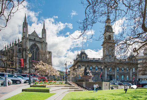 SDN430 - First Church, Dunedin  - Small Postcard