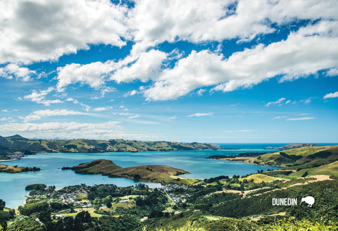 SDN432 - Otago Harbour - Small Postcard - Postcards NZ Ltd