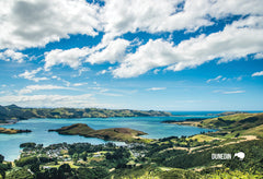 SDN432 - Otago Harbour - Small Postcard - Postcards NZ Ltd