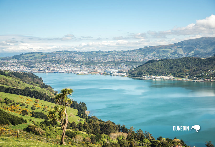 SDN433 - Harbour Dunedin - Small Postcard