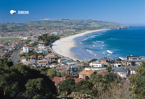 SDN427 - Dunedin - Small Postcard