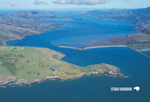 SDN462 - Aerial Otago Harbour - Small Postcard