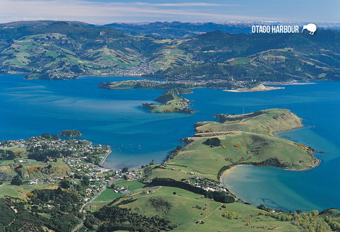 SDN462 - Aerial Otago Harbour - Small Postcard - Postcards NZ Ltd