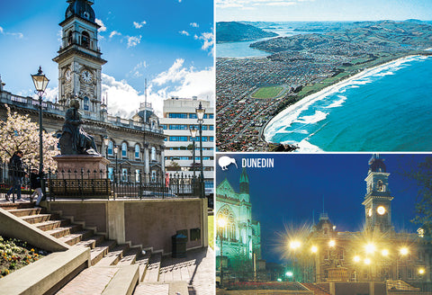 SDN464 - Dunedin Multi - Small Postcard - Postcards NZ Ltd