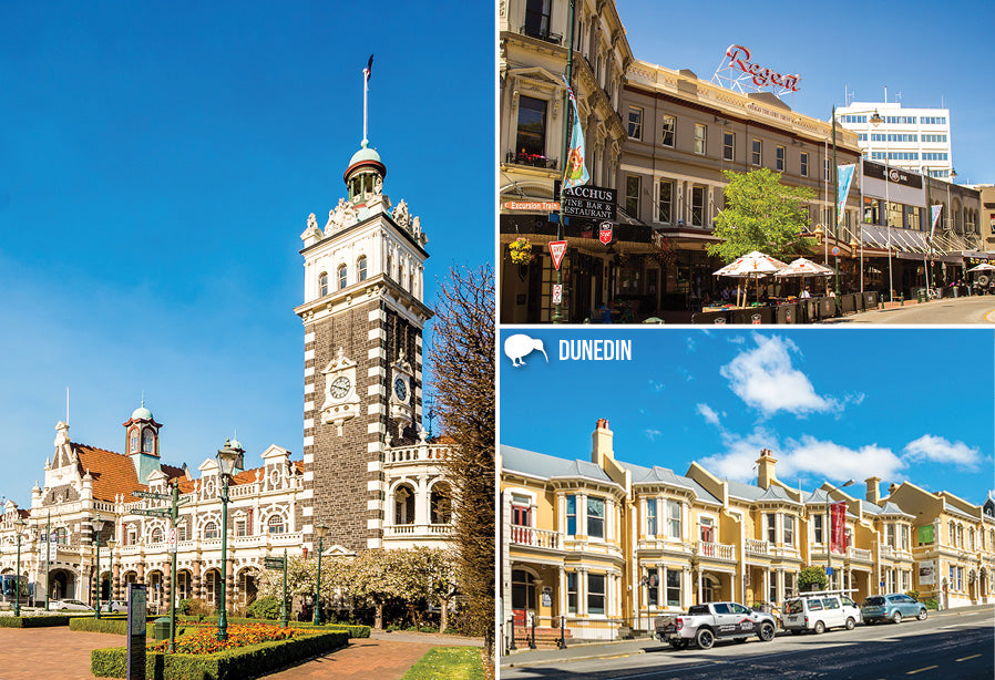 SDN471 - Dunedin Multi - Small Postcard
