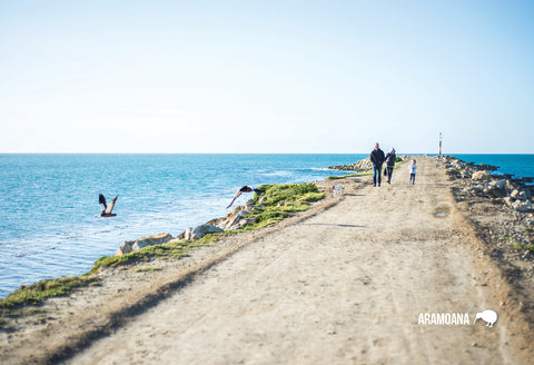 SDN86 - Aramoana Mole - Small Postcard - Postcards NZ Ltd