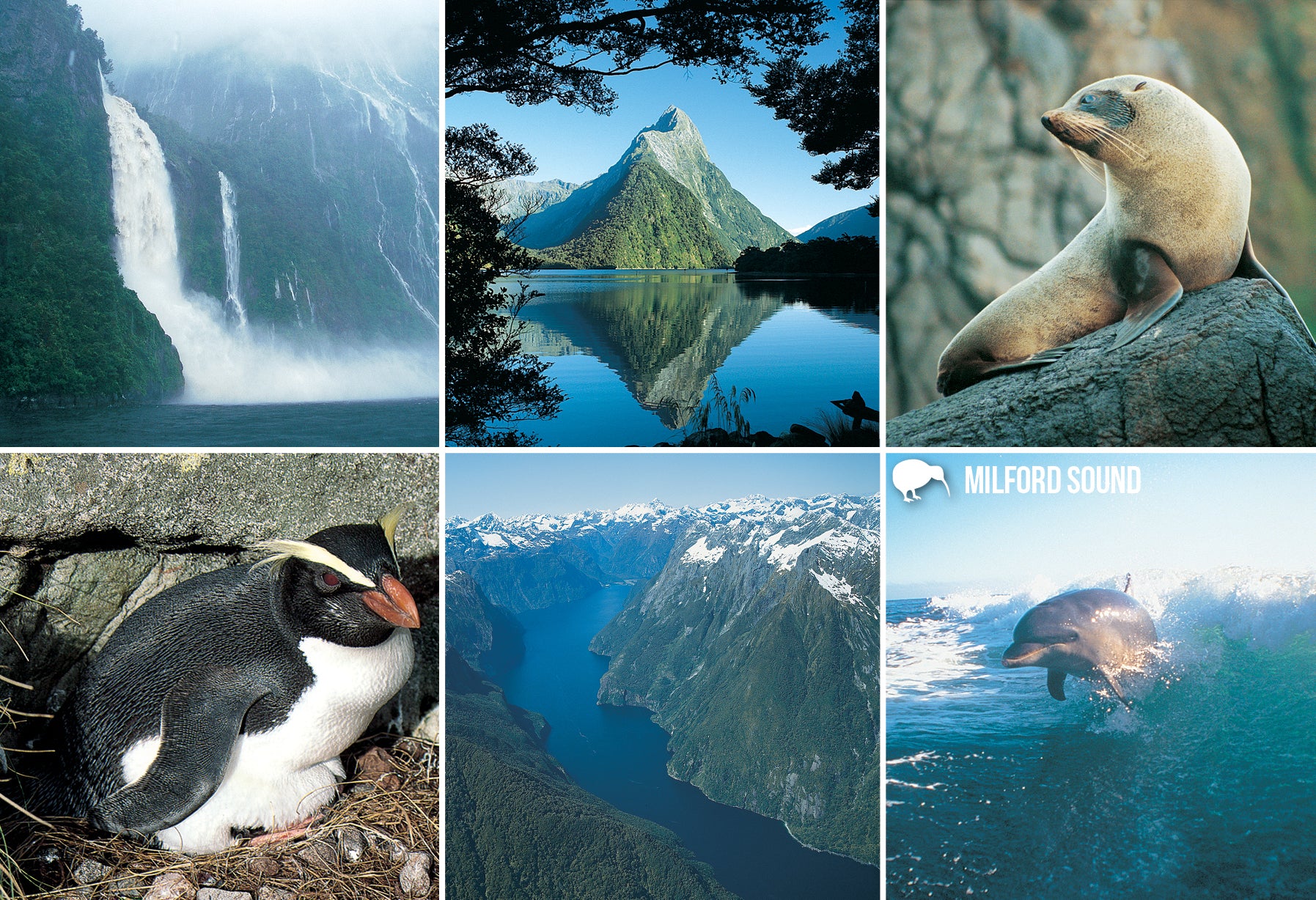 SFI61 - Milford Sound Multi - Small Postcard