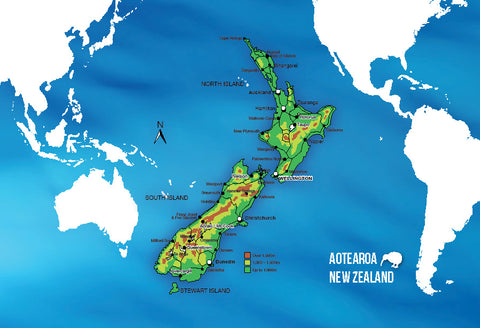 SGI493 - Aotearoa  - Small Postcard