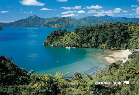 SMB646 - Becks Bay, Queen Charlotte Sound - Small Postcard - Postcards NZ Ltd