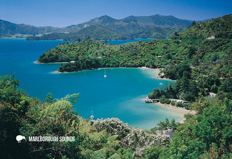 SMB650 - Te Mahia, Marlborough - Small Postcard - Postcards NZ Ltd