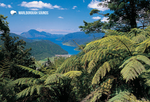 SMB651 - Tennyson Inlet, Marlborough Sounds - Small Postcar - Postcards NZ Ltd