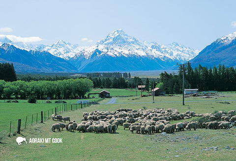 LMC096 - Mt Cook And Lake Pukaki - Large Postcard