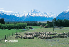 SMC353 - Glentanner Station - Small Postcard - Postcards NZ Ltd