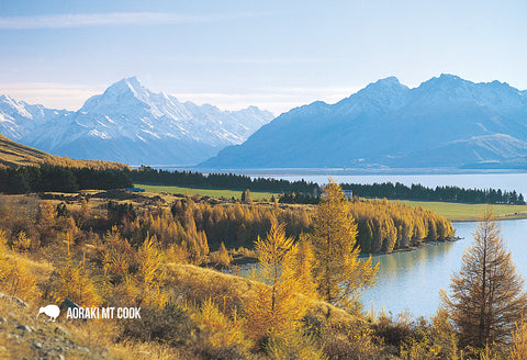 SMC370 - Mt Cook & Lake Pukaki - Small Postcard