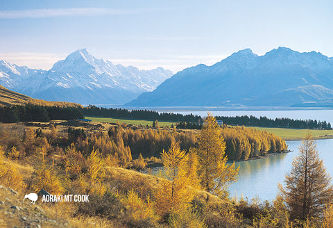 SMC347 - Mustering Sheep, Mt Cook - Small Postcard