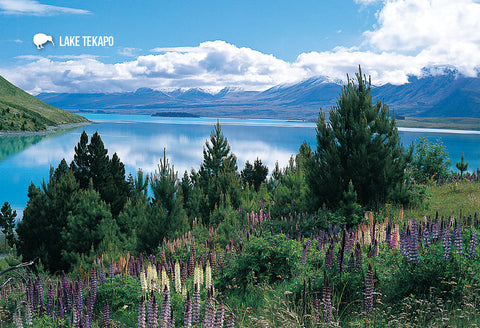 SMC370 - Mt Cook & Lake Pukaki - Small Postcard