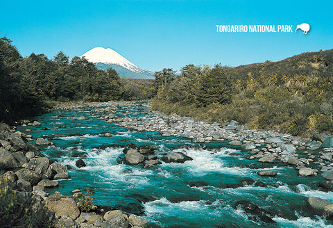 SMW936 - Whakapapaiti Rapids - Small Postcard - Postcards NZ Ltd