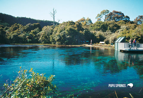 SNE742 - Pupu Springs - Small Postcard - Postcards NZ Ltd