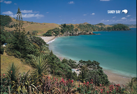 SBI152 - Aerial View Of Waitangi - Small Postcard