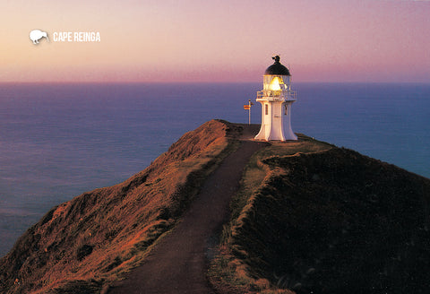 SAU118 - Piha Beach From Lion Rock - Small Postcard