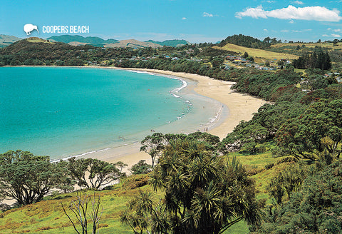 SNO786 - Coopers Beach Northland - Small Postcard - Postcards NZ Ltd