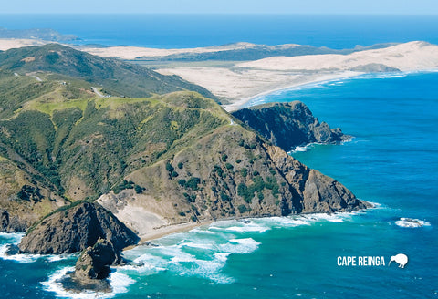 LNO116 - Cape Reinga - Large Postcard