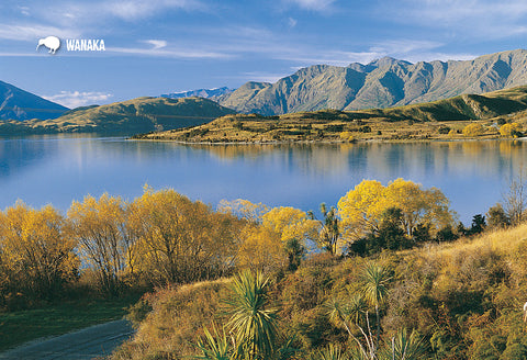 SOT379 - Autumn Glendhu Bay - Small Postcard - Postcards NZ Ltd
