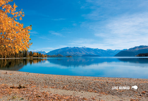 SOT393 - Glendhu Bay Wanaka - Small Postcard - Postcards NZ Ltd