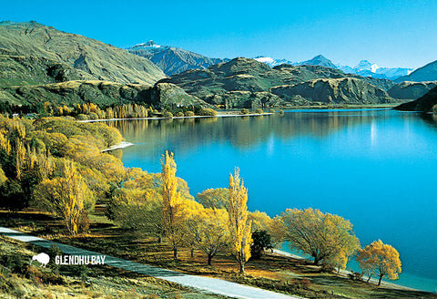 SOT397 - Autumn Glendhu Bay - Small Postcard - Postcards NZ Ltd