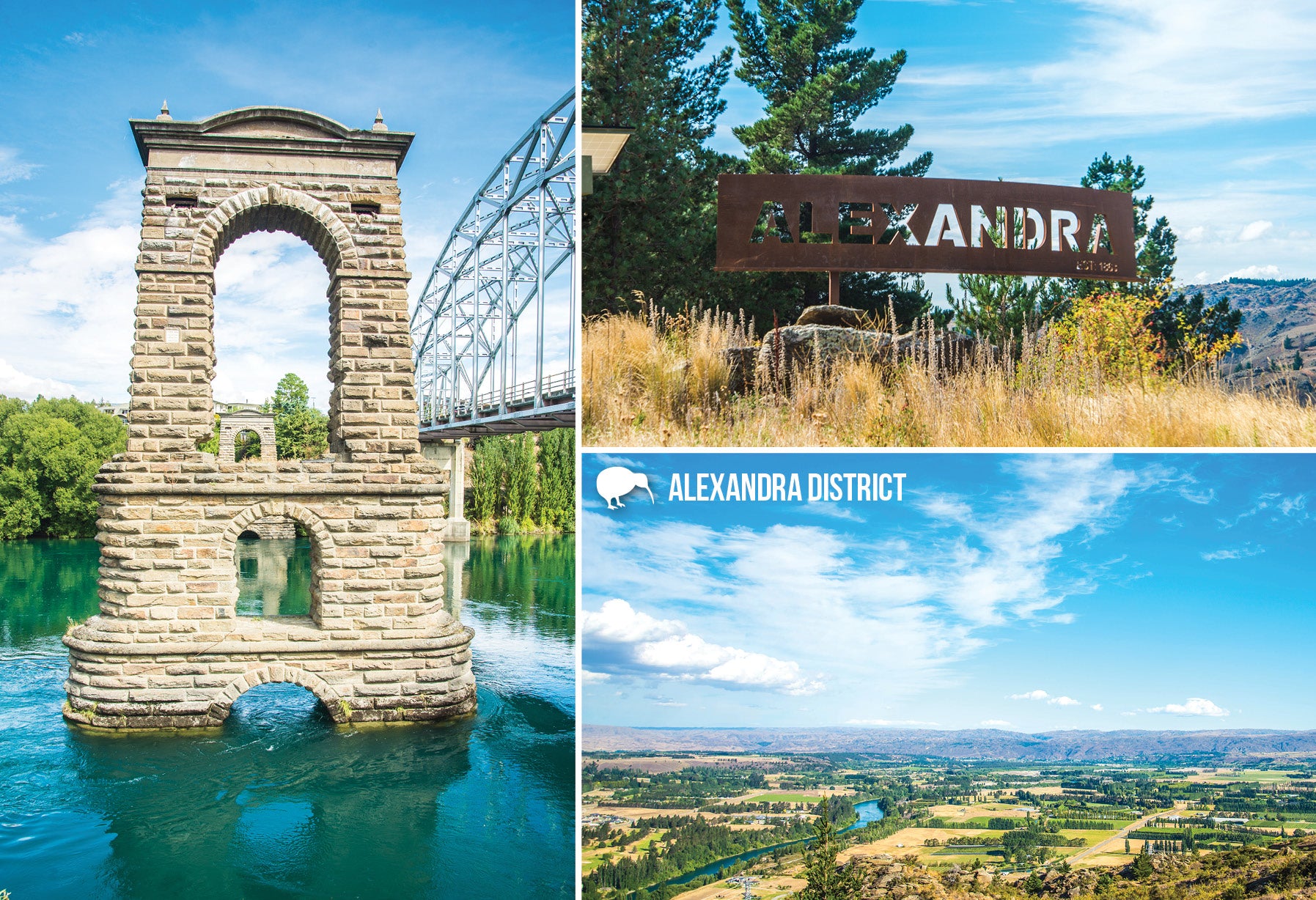 SOT403 - Alexandra Multi - Small Postcard