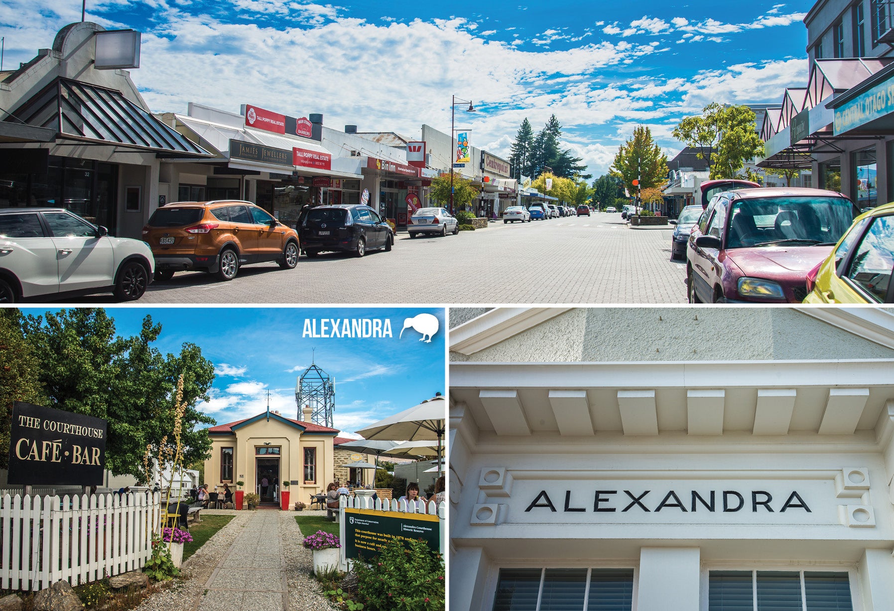 SOT404 - Alexandra Multi - Small Postcard