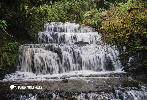SOT449 - Purakaunui Falls, Catlins Otago - Small Postcard - Postcards NZ Ltd