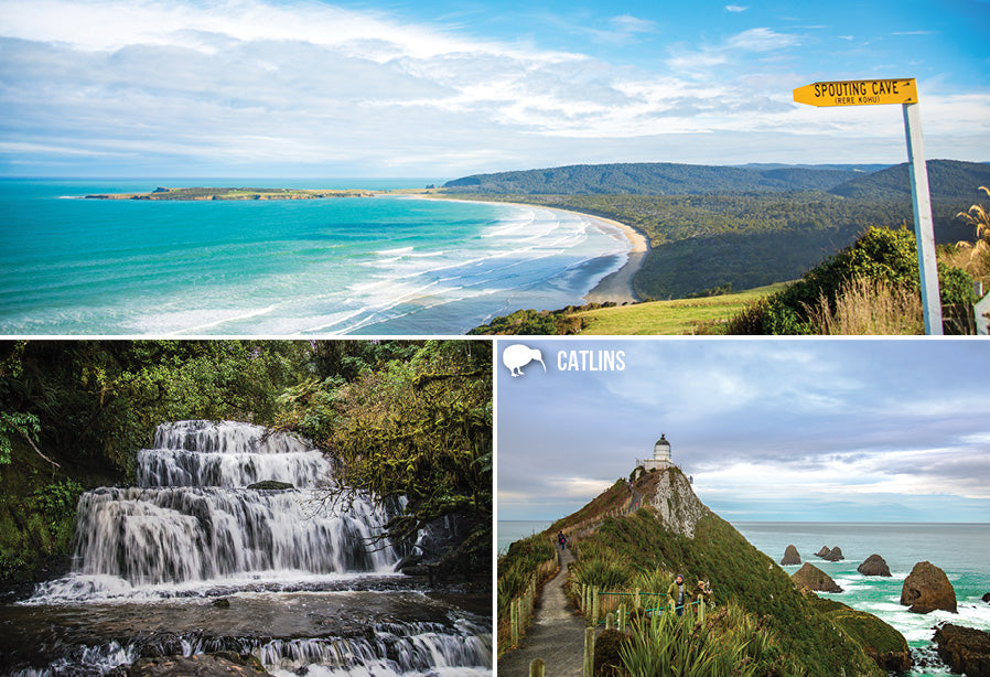 SOT472 - Catlins - Small Postcard