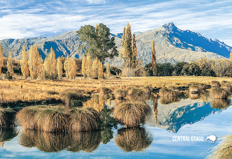 SQT812 - Remarkables, Central Otago - Small Postcard - Postcards NZ Ltd