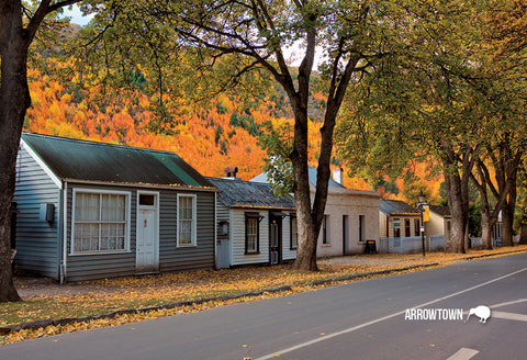 SQT843 - Arrowtown - Small Postcard - Postcards NZ Ltd