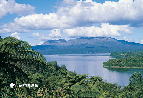 SRO213 - Crater, Mt Tarawera - Small Postcard