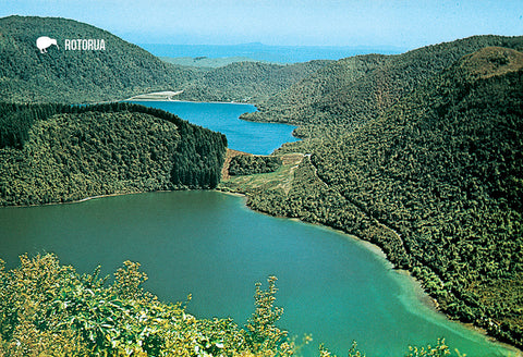 SRO885 - Lookout Point Lake Taupo - Small Postcard