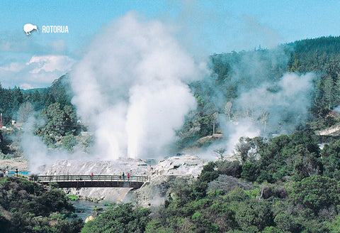 SRO241 - Rotorua - Geyser - Small Postcard - Postcards NZ Ltd