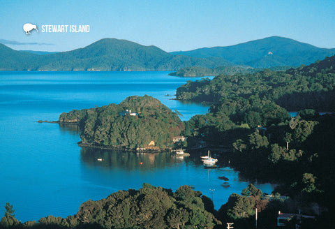 SSO905 - Paterson Inset Stewart Island - Small Postcard - Postcards NZ Ltd