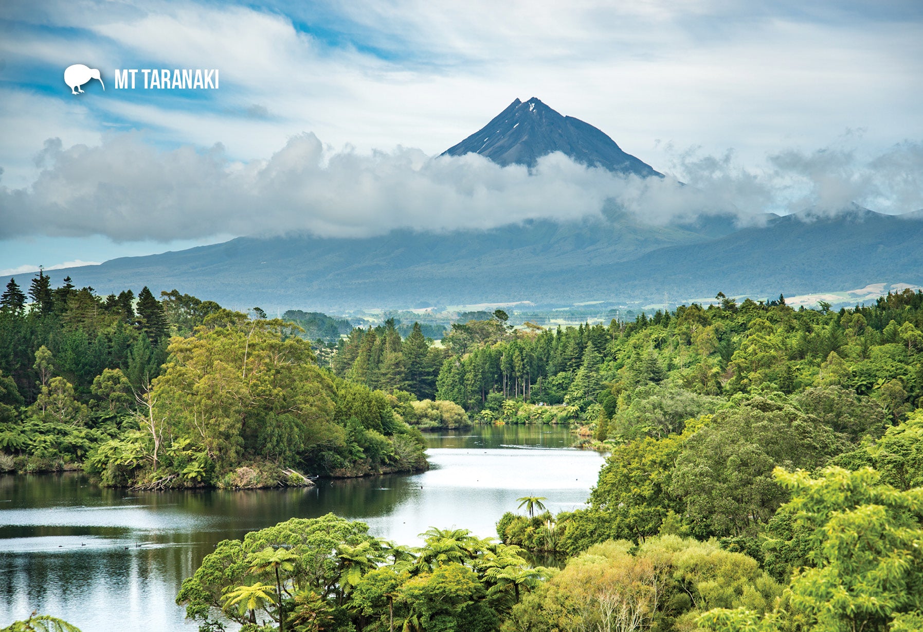 STA919 - Mt Taranaki & Mangamahoe - Small Postcard