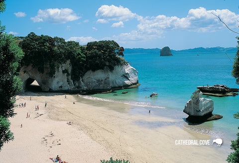 SWA547 - Cathedral Cove Mercury Bay - Small Postcard - Postcards NZ Ltd